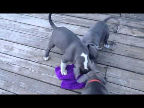Playtime with a was rag!!