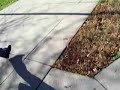 Ever Wondered How UMD\ Ever Wondered How UMD\