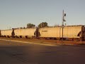 NS SB grain train, nice engineer