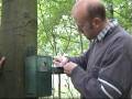 videos de alles over de bonte vliegenvanger (1)