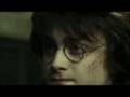 Harry Ron & Hermione - Pieces