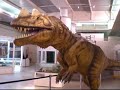 DINOSSAURO ANIMATRÔNICO SABINA DINOSSAURO ANIMATRÔNICO SABINA