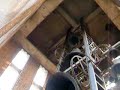 Bellringing