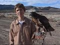 Falconry in Utah