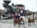 TUMAN - PITBULL PODER