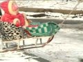 Цените жизнь (25.02.09) :: Цените жизнь (25.02.09)