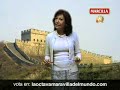 El aroma del café la octava maravilla del mundo - Muralla