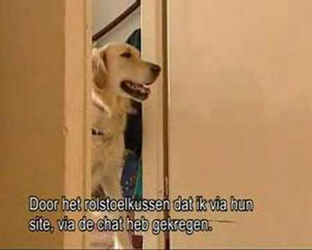 YouTube voorvertoningsafbeelding