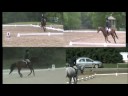 Four for dressage Four for dressage