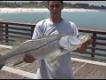 JUNO BEACH PIER SNOOK FISHING ROCKS!