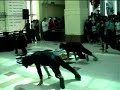 BTF(3/8) - breaking force crew BTF(3/8) - breaking force crew