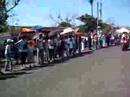 ARANCONES CABALLOS