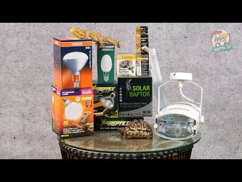 Reptil TV - Folge 77 - Beleuchtung von Reptilien