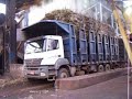 Descarga de cana de a�ucar, caminh�o Mercedes Axor 3340