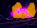 The legendary Broly The legendary Broly