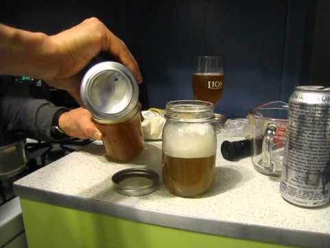 how to harvest yeast from a beer