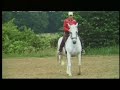 Superior Bitless Riding with the LG Bridle Superior Bitless Riding with the LG Bridle