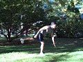 Your Dream Body WorkoutXpert Bodyweight Training #2