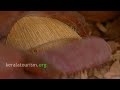 Coconut House, Handicrafts, Kerala