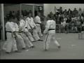 videos de triple front kick break