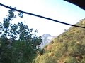 Bears in Sierra Nevada