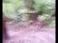 Ryan At Bike Track Episode #2