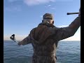 Sea Duck Hunting