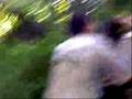 videos de Cachoeira
