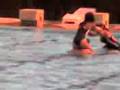 videos de Parece uma pomba nadando Oo