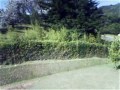 Aerea en el campo