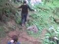 a day in the forest 3