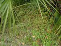 Hal McGee micro adventure 5