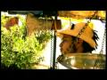 InCulto Sabroso Official Video