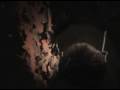 Party at Charlies House (Movie) Death Scene
