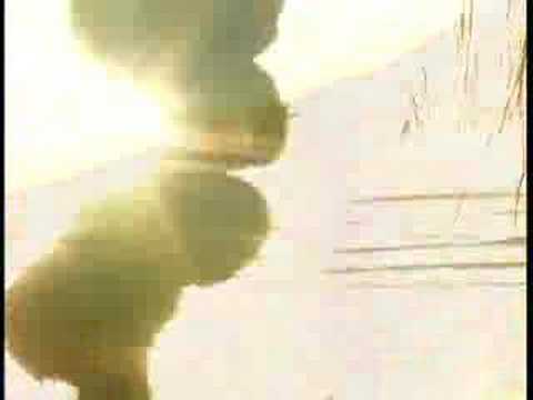 defectors - Music video from the album