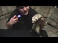 in this video we demonstrate why it isn't a good idea to mess around with weird ed's beloved pet hamster. we also unveil a new miracle of science, the glo-weasel!