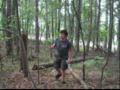 videos de Congo
