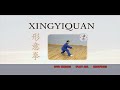 Xing Yi Quan (Hsing I Chuan) kung fu