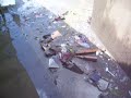 IDSS Cleaning Day 3