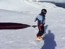 Vicho en la nieve