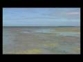 videos de Zanzibar 2008 - clip 4