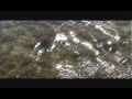 videos de Florida Keys Flats Fishing Report: Jan 8th