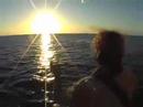 Sunset with the whales