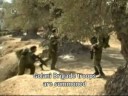 settlers\ settlers\
