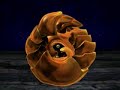 Chrono Cross -- Face Down