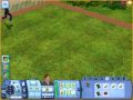 How to get the money tree part 2 of 4 (Sims 3)