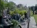Funny compilation