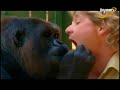 Bindi Irwin Jungle girl song and my dad me and dad Bindi Irwin Jungle girl song and my dad me and dad