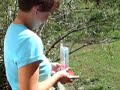 Hummingbird Feeder Feeding Frenzy Hummingbird Feeder Feeding Frenzy