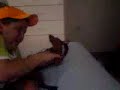 an subnormalidad chikuna